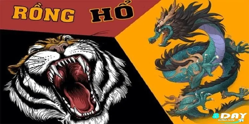 Cộng đồng và hỗ trợ người chơi Rồng hổ online 8day