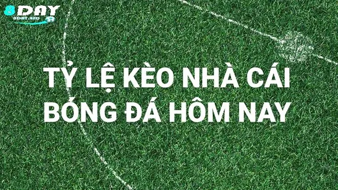 Quy trình soi kèo bài bản và chính xác