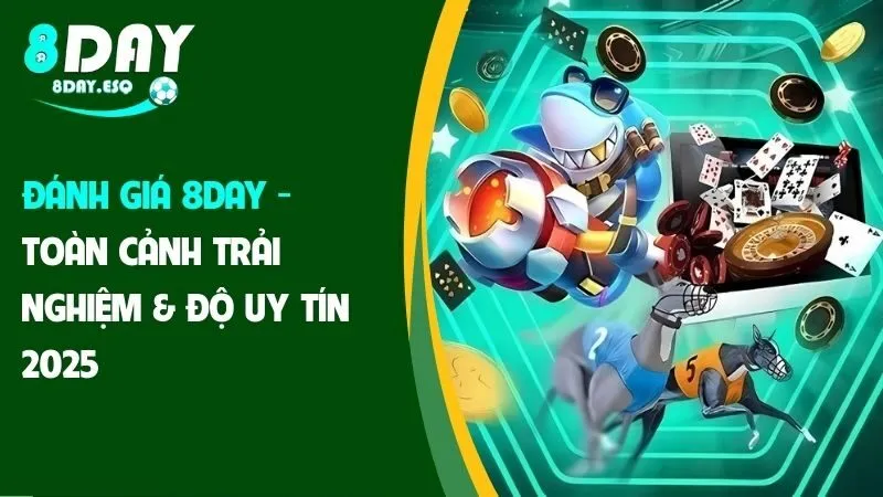 Đánh Giá 8day - Toàn Cảnh Trải Nghiệm & Độ Uy Tín 2025